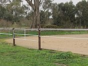 Arena - white 40mm tape, not hot