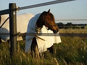 Kenzie Park in Victoria's Macedon Ranges