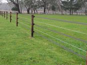 StockGuard plus sita wire for horse/cattle/sheep containment