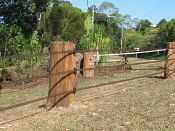 StockGuard demonstration fence - Queensland