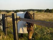 Kenzie Park in Victoria's Macedon Ranges